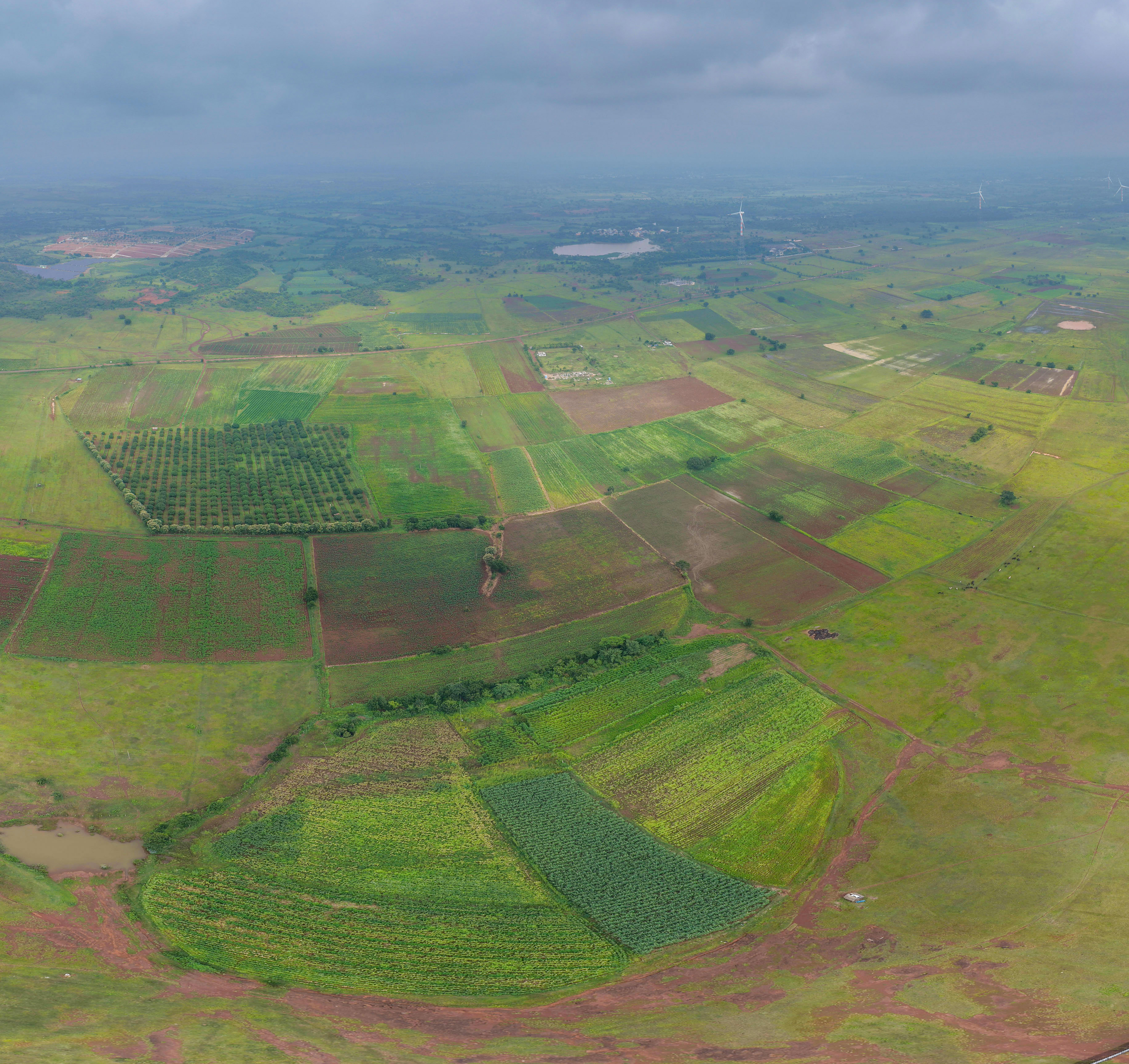 dholera